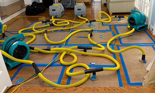 Professional Flood Damage Restoration technician working in Loudonville, OH